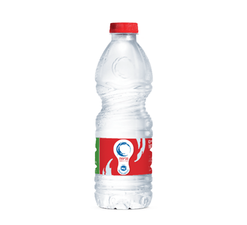 מים מינרלים